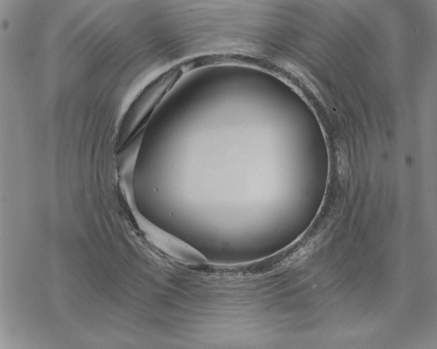 X0000069831069200606021331