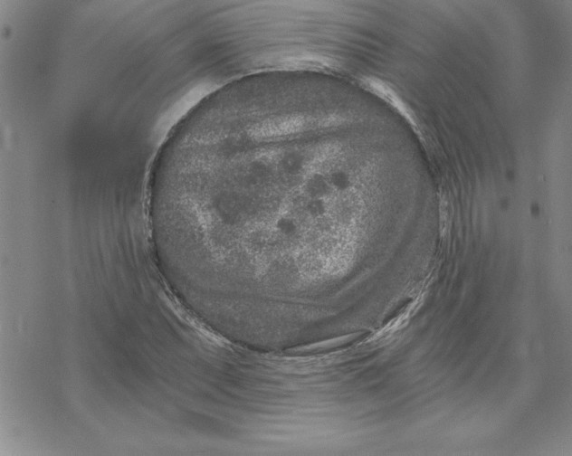 X0000069831071200606021331