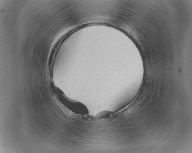 X0000069831072200606021331