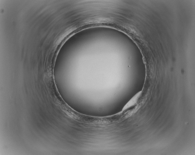 X0000069831073200606021331