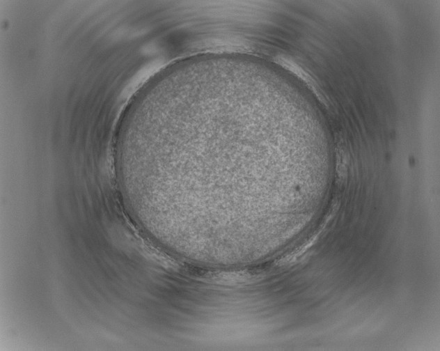 X0000069831074200606021330