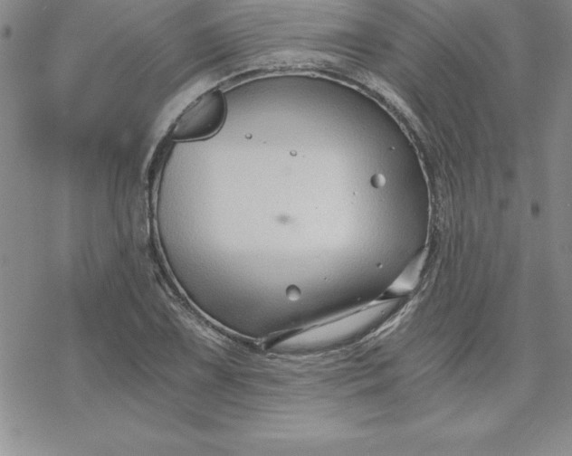 X0000069831075200606021330