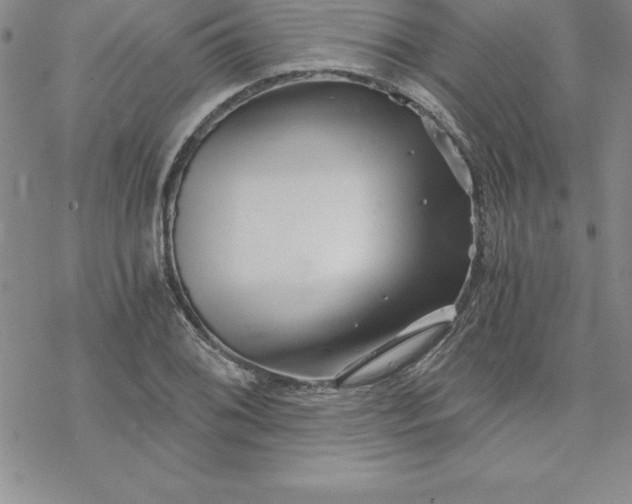 X0000069831076200606021330