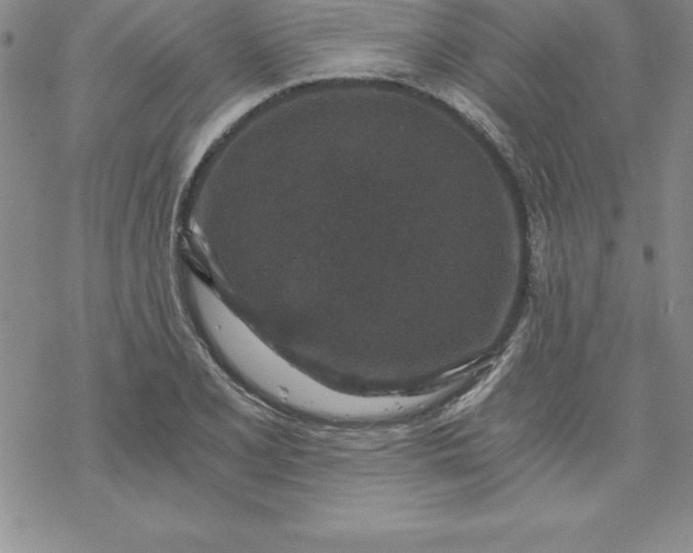 X0000069831077200606021330