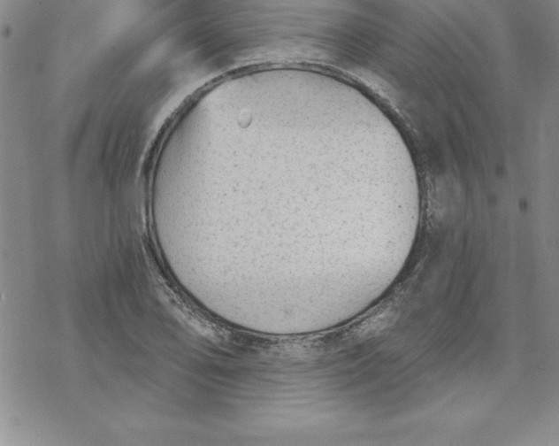 X0000069831078200606021330