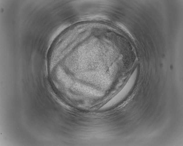 X0000069831079200606021330