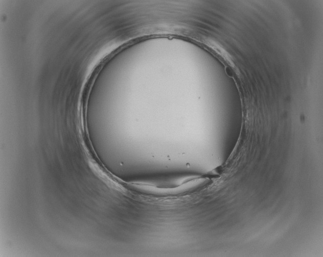 X0000069831080200606021330