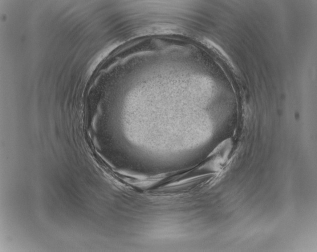 X0000069831081200606021330