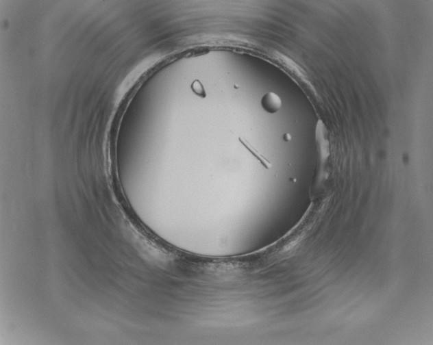 X0000069831082200606021330