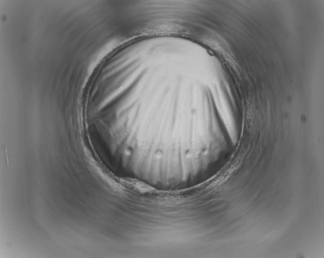 X0000069831083200606021330