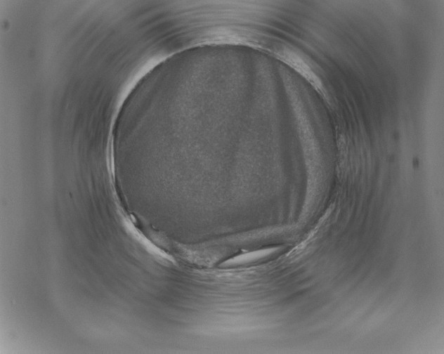 X0000069831084200606021330