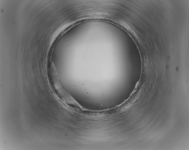 X0000069831085200606021330