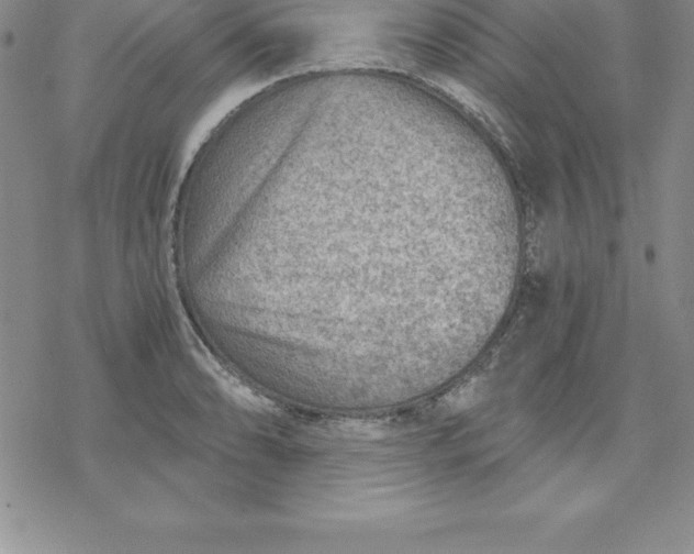 X0000069831086200606021330