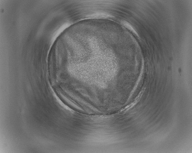 X0000069831087200606021330