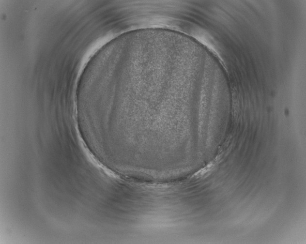 X0000069831088200606021330