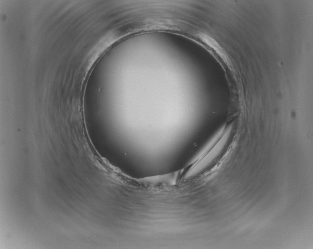 X0000069831089200606021330