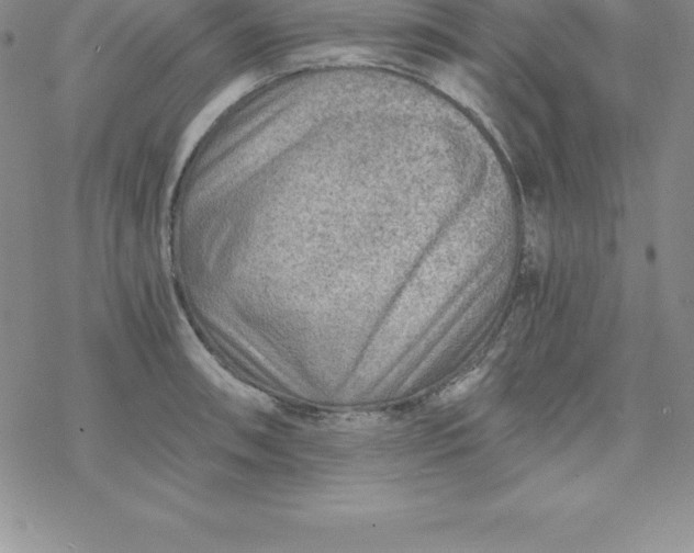 X0000069831090200606021330