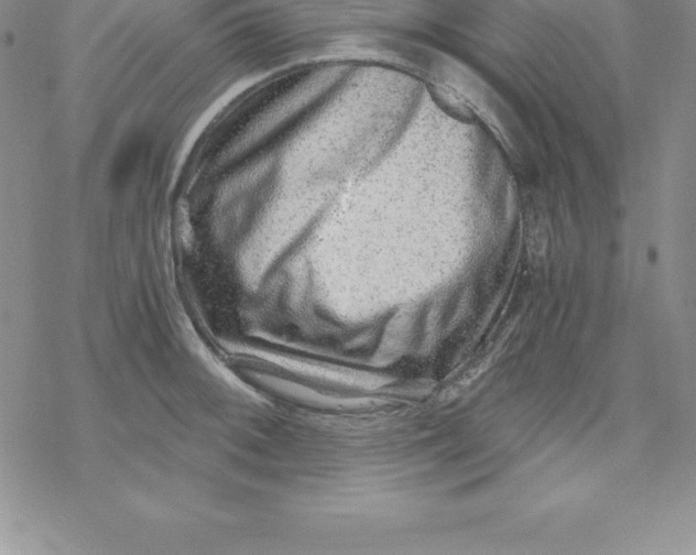 X0000069831092200606021330