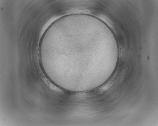 X0000069831094200606021330