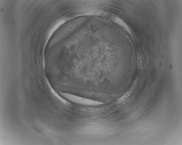 X0000069831095200606021330