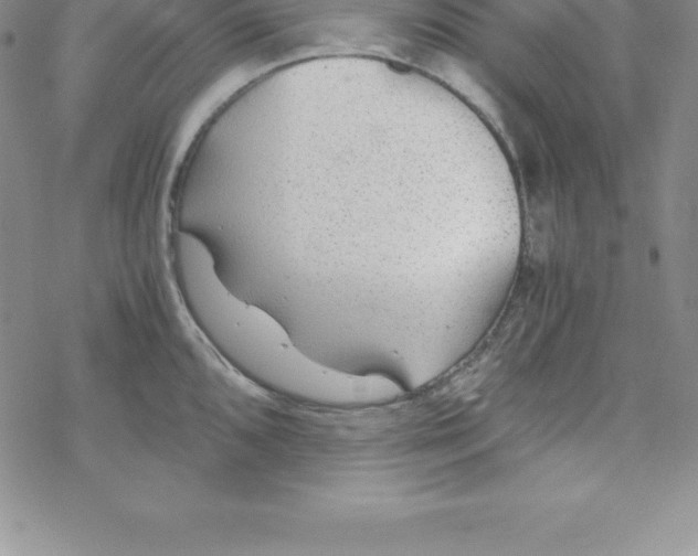 X0000069831096200606021330