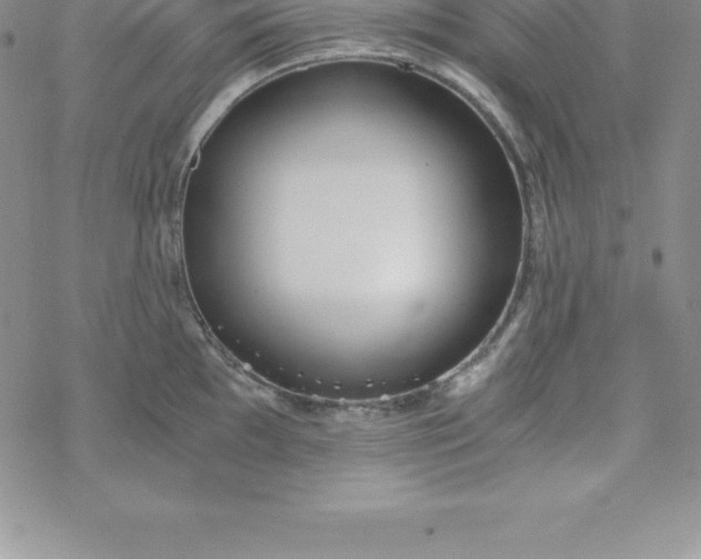 X0000069831097200606021330