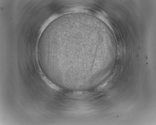 X0000069831098200606021330