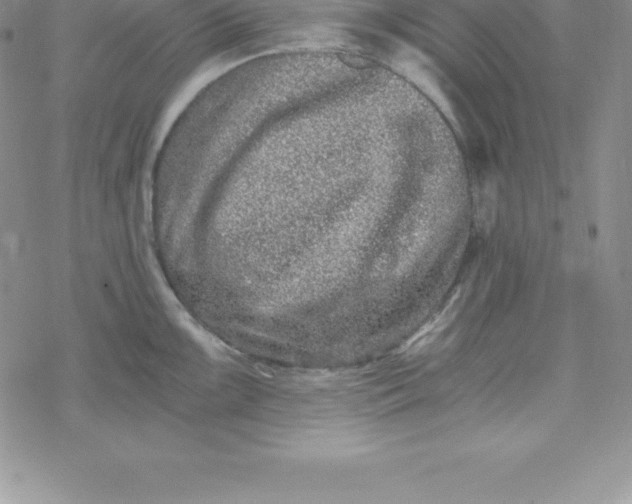 X0000069831099200606021330