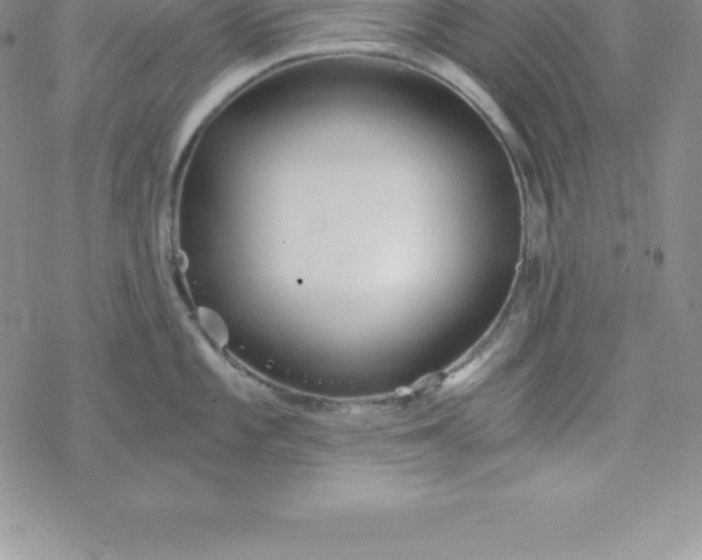 X0000069831101200606021330