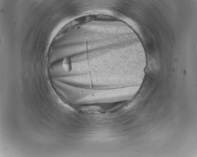 X0000069831102200606021330