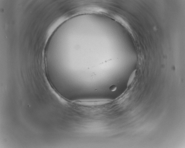 X0000069831103200606021330