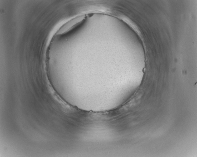 X0000069831104200606021330