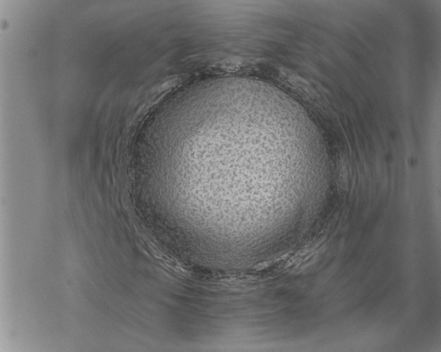 X0000069831105200606021329