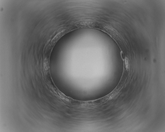 X0000069831107200606021329