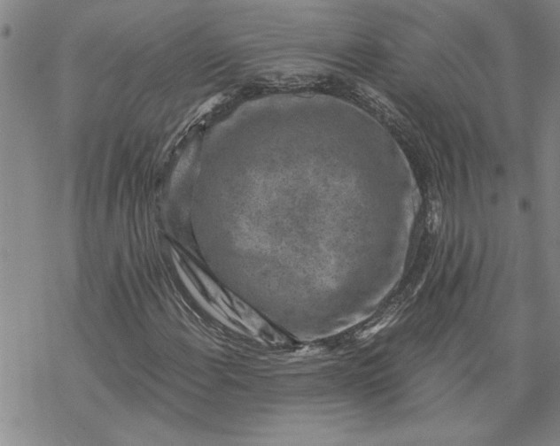 X0000069831108200606021329