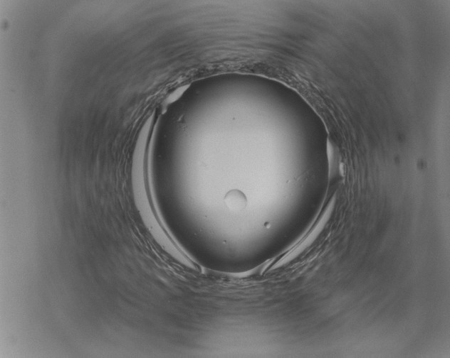 X0000069831109200606021329