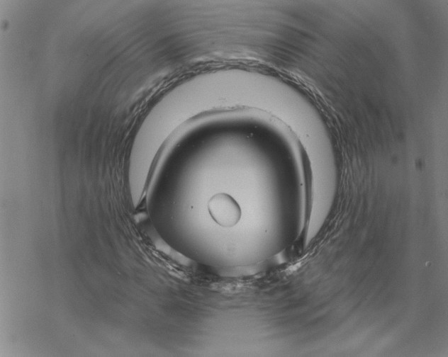 X0000069831110200606021329