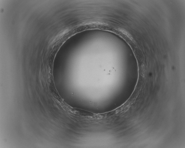 X0000069831111200606021329