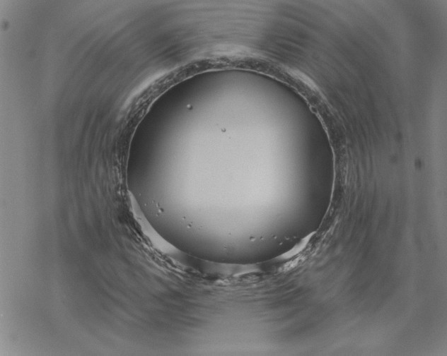 X0000069831112200606021329