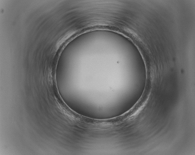 X0000069831113200606021329