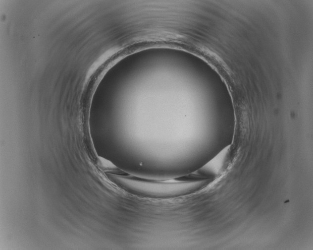 X0000069831114200606021329