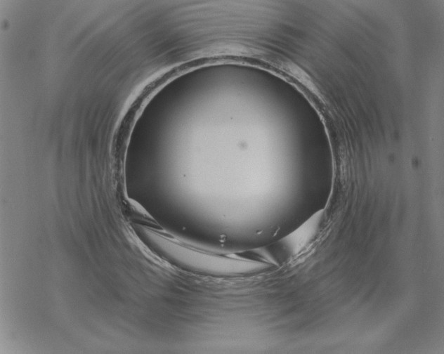 X0000069831116200606021329