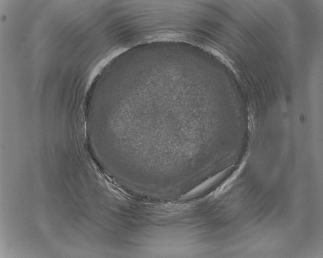 X0000069831117200606021329