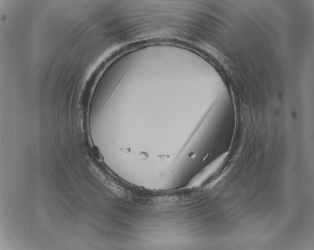 X0000069831118200606021329