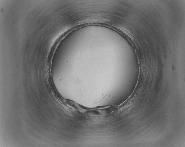 X0000069831119200606021329