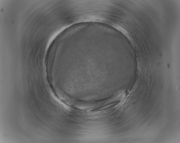 X0000069831120200606021329