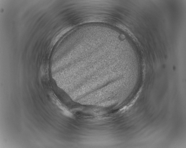 X0000069831121200606021329