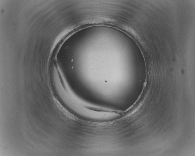 X0000069831122200606021329