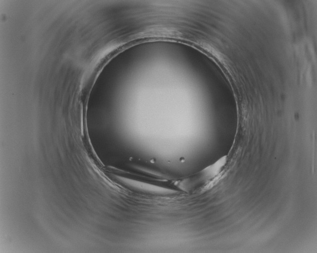 X0000069831123200606021330