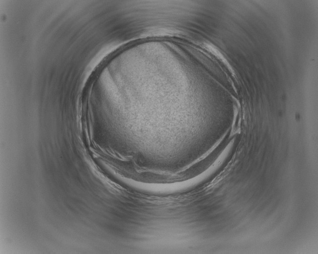 X0000069831124200606021330